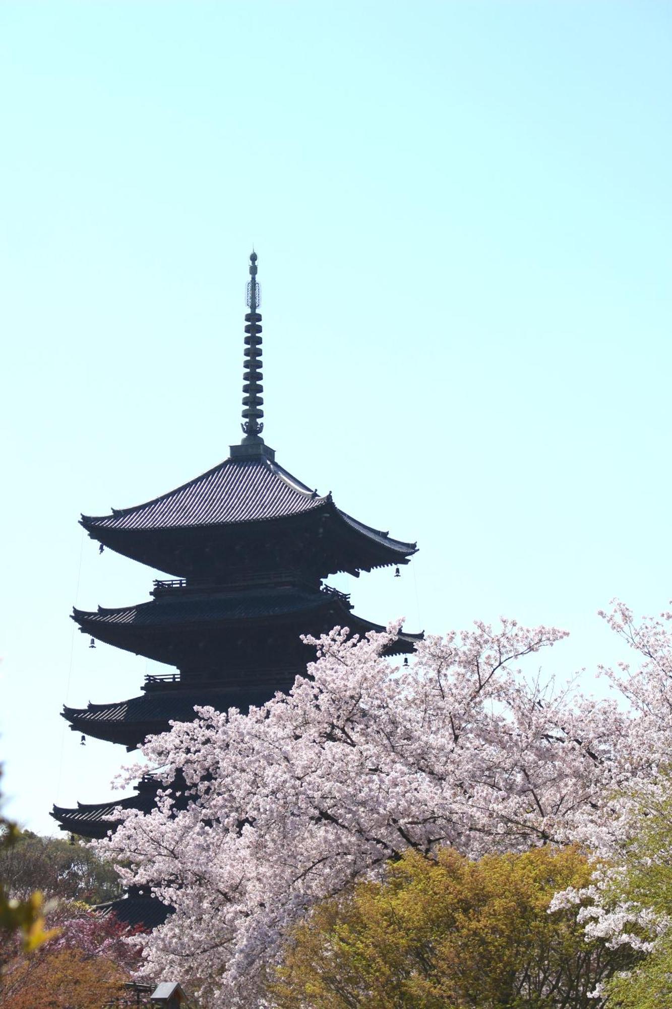 Stay Sakura Kyoto Tsubaki Экстерьер фото